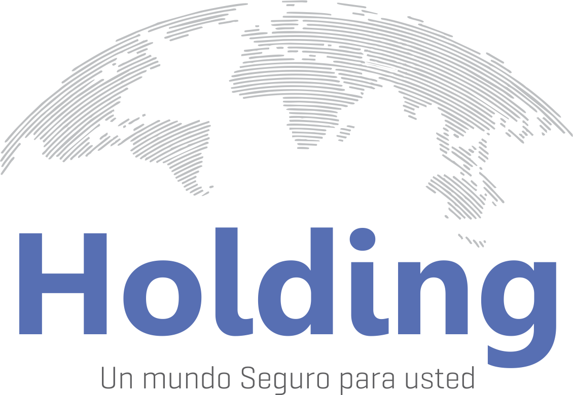 Logo Holding